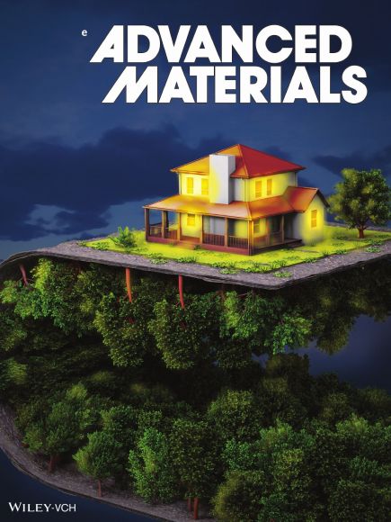 advmat-cover_k.jpg