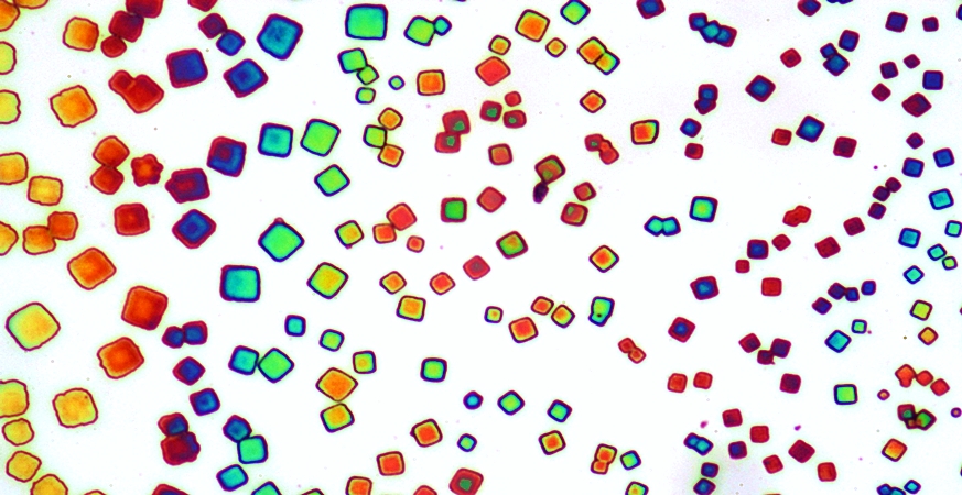 EQ72+Perowskite+870+450+farbe.jpg