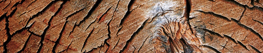 Cover+EmpaQuarterly52_EN.jpg