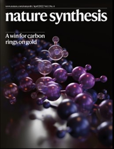 Cover Nature Synthesis