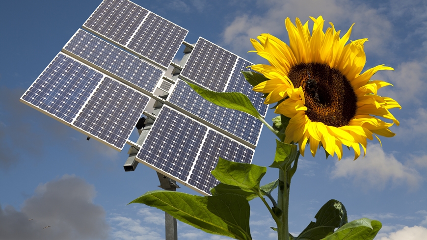 Empa - Communication - EQ76-Sunflower-society