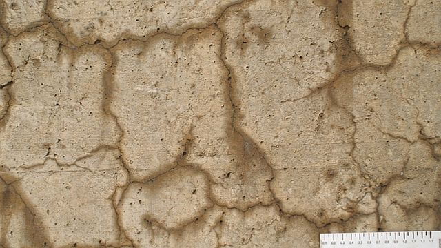 Beton-Krankheit.jpg