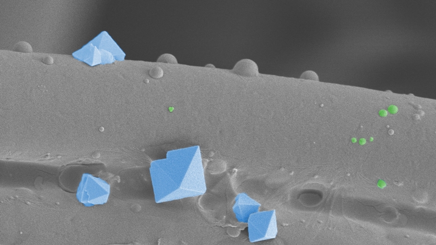 EQ77-Virus-870.jpg