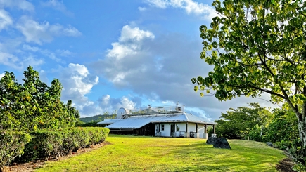 Nature+CFC-para.jpg