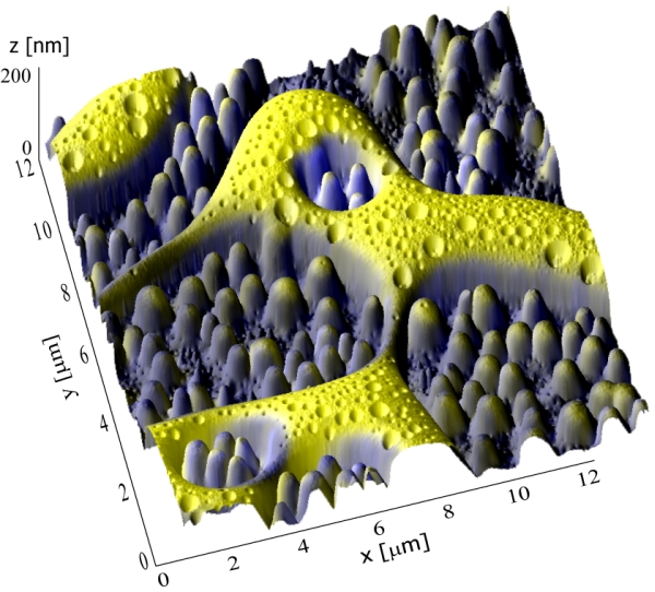 a592-2013-08-22-b0x+stopper+3D-NanoChemiscope.jpg