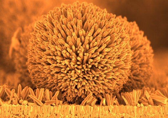 a592-2012-02-16-b1x+NanoCleantech-Igel.jpg