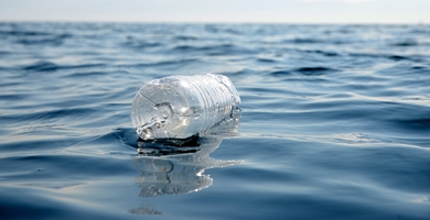 EQ81-unterwegs-plastik.jpeg