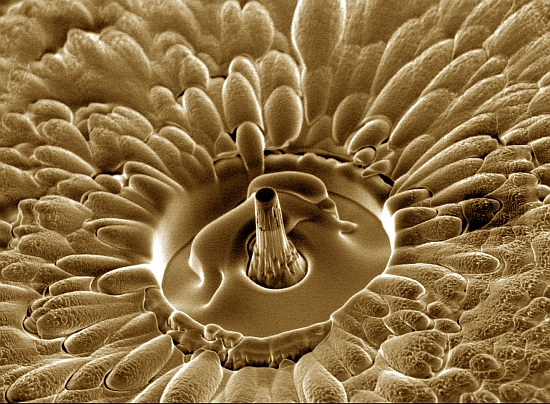 a592-2011-10-10.b0x+stopper+Nanokosmos.jpg