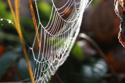 a592-2011-11-24-b0x+stopper+Leichtbau-Semi.jpg
