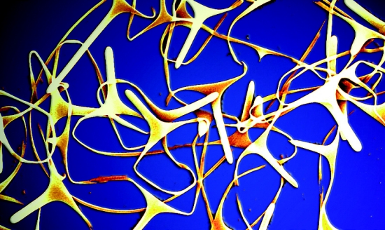 a592-2011-11-29-b0x+Nanotox.jpg