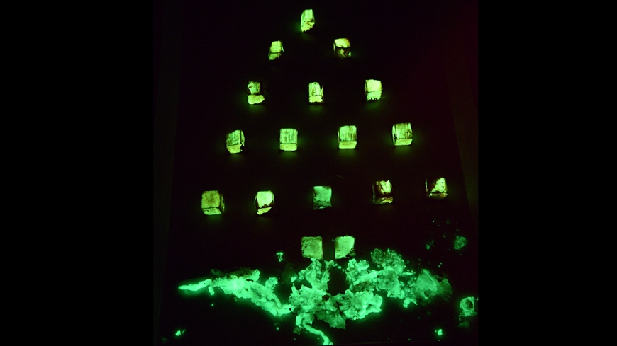 Baum-870.jpg