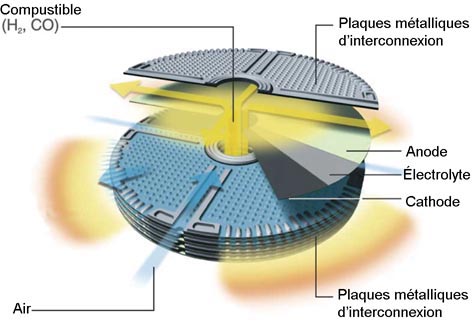 a592-2010-04-29-b1x+fr+Hexis.jpg