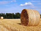 a592-2010-06-29-b0s+stopper+Biofuels.jpg