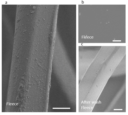nanoplastik-para.jpg