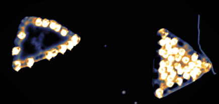 Magneto-para.png