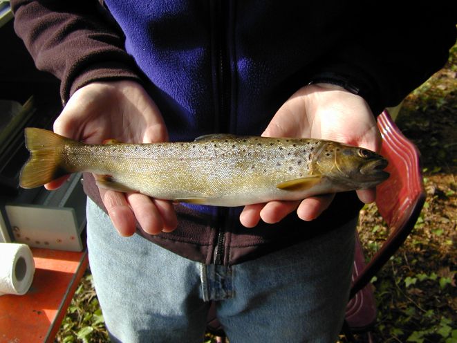 a592-2006-01-26+uvfilter+in+fischen-b1m.jpg
