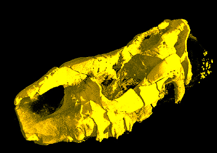 a592-2006-05-16-b1m-computerbild.jpg