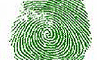 a592-2006-11-01-b1s_prof_schwarze_stopperbild.jpg