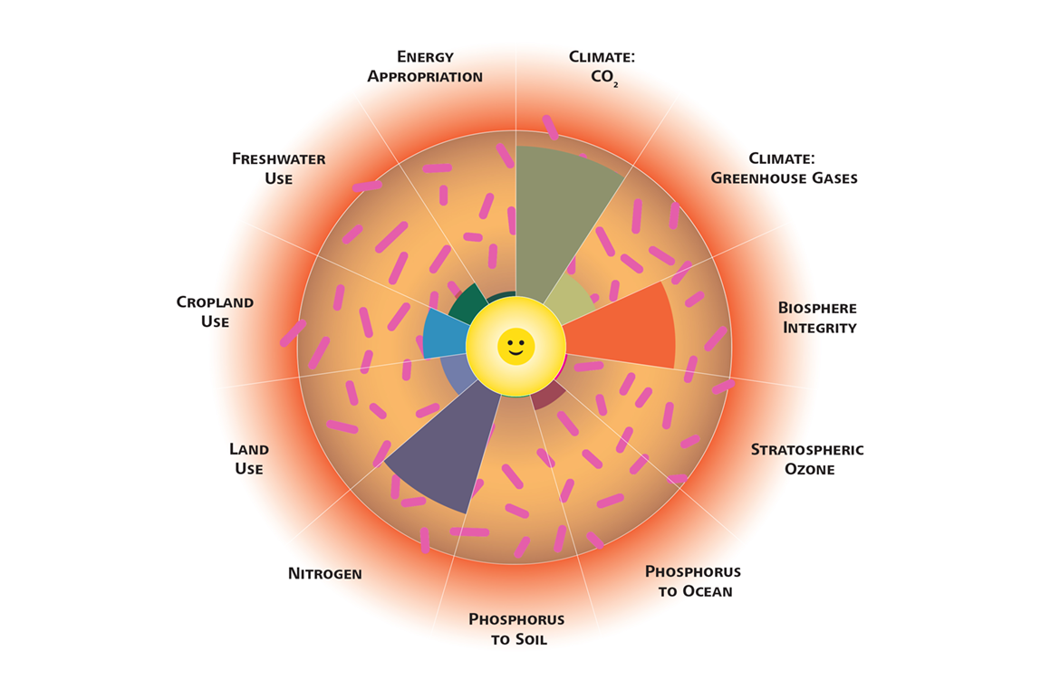 grafik-donut-web-EN.png