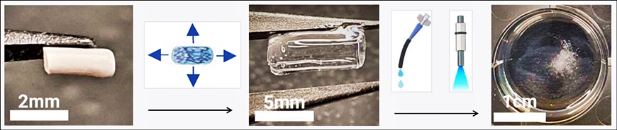 Hydrogel-Endometriose-para.jpeg
