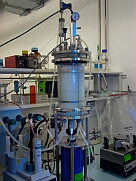 synthesise biopolymer synthesise biopolymer