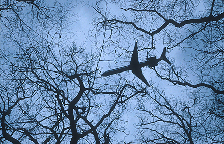 a592-2003-04-11-b1x_flugzeug+mit+b%C3%A4umen.jpg