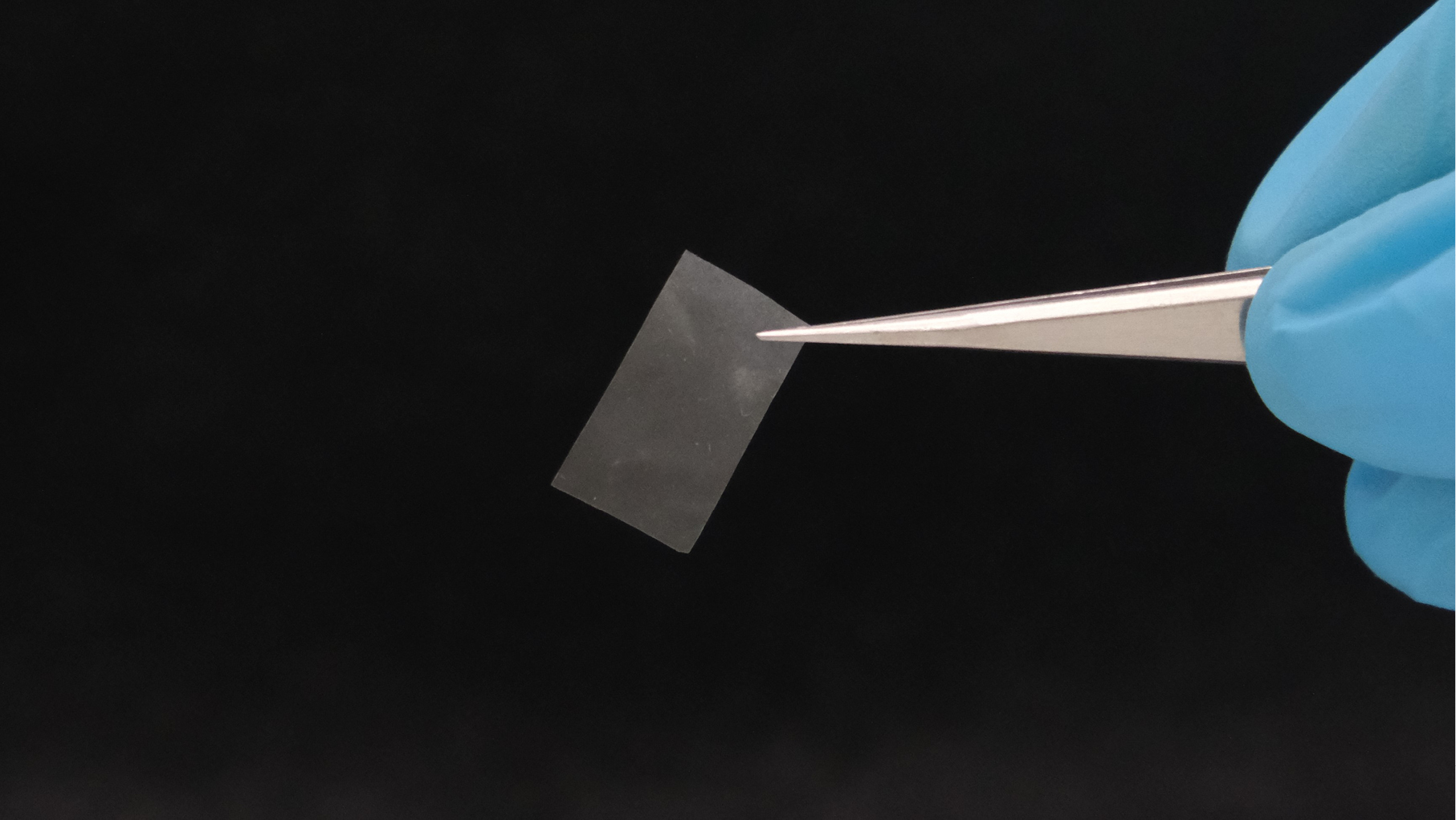 mycelial-materials-stopper.jpg