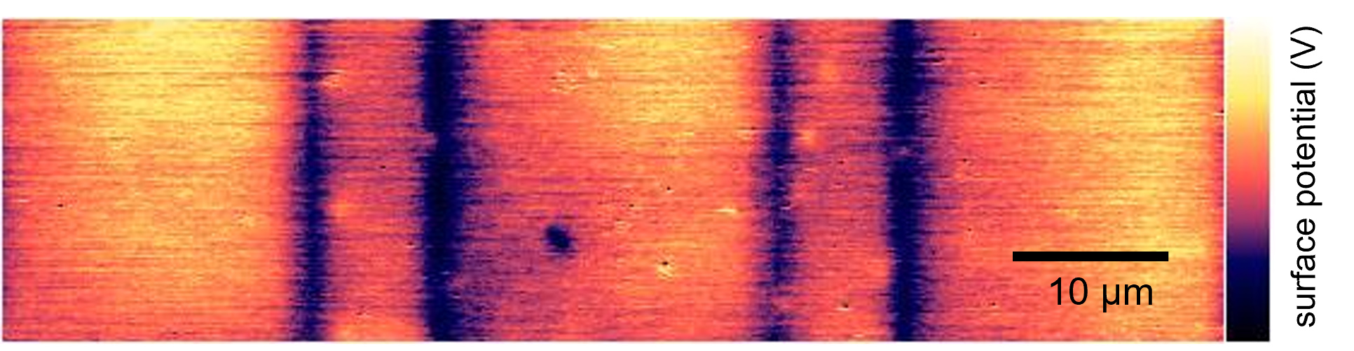 implantate-cihova-afm.jpg