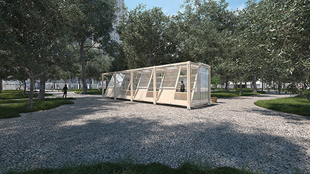 aaa2025_urban+bloom.jpg