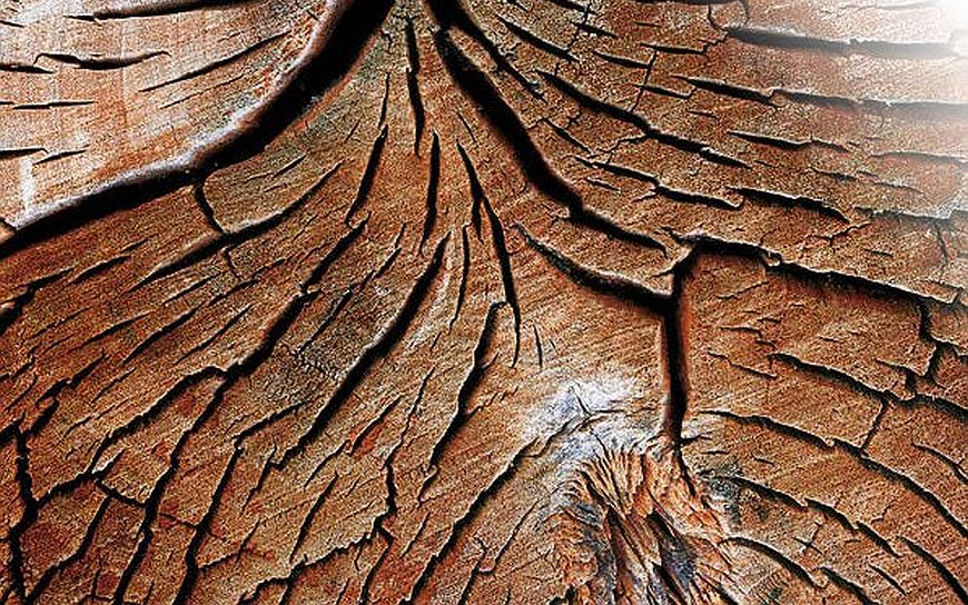 Holz.jpg