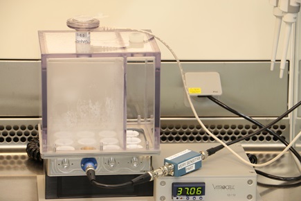 Graphene+lungenmodell+.jpg