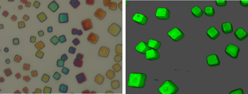 Superfluorescence.jpg