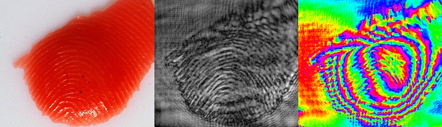 Terahertz_Fingerprint.jpg