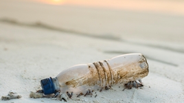 Mikroplastik1_MM.jpg