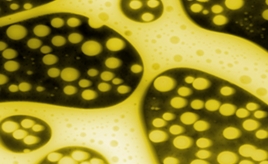 Nanomedizin_MM.jpg