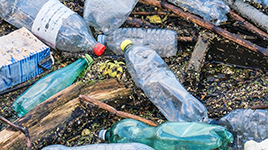 Plastikabfall_MM.jpg