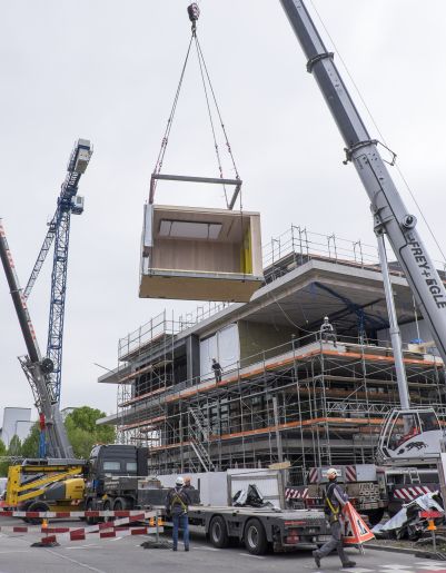 Faszination+Holz+Modul.jpg