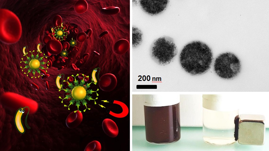 Blood+purification+Stopperbild.jpg
