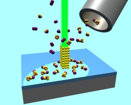 febid%2C+gr%C3%B6sser.jpg
