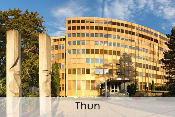 Kachel+Team+Thun.jpg