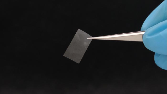 mycelial-materials-stopper